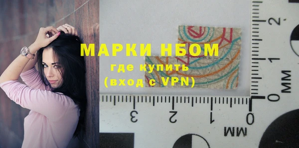 МДПВ Бородино