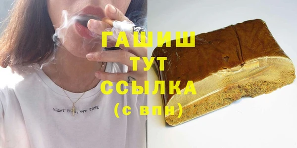 МДПВ Бородино
