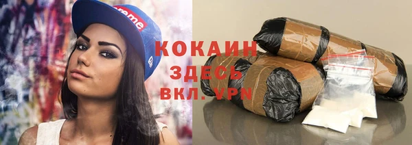 МДПВ Бородино