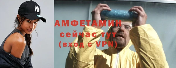 МДПВ Бородино