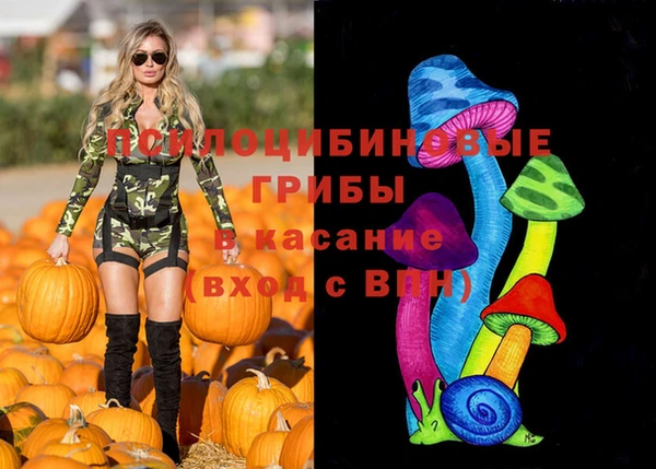 гидропоника Бугульма
