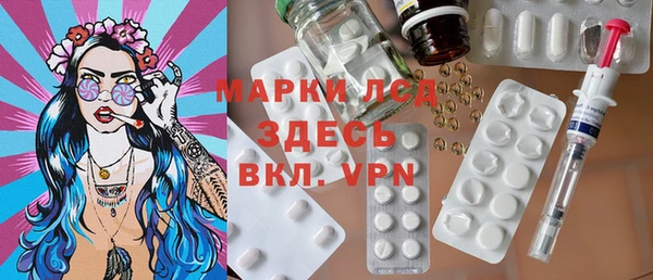 МДПВ Бородино