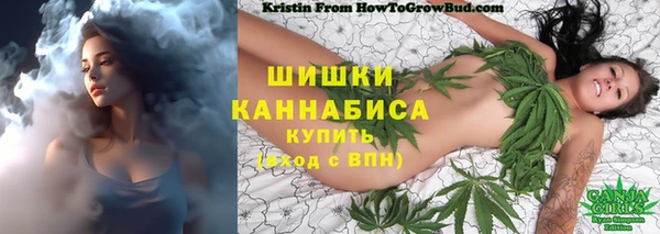 гидропоника Бугульма