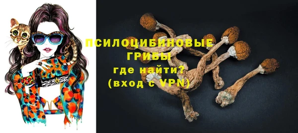 гидропоника Бугульма