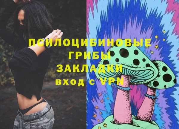 гидропоника Бугульма