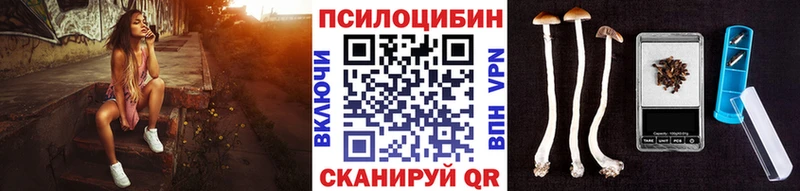 Галлюциногенные грибы мицелий  Купить закладки  Щёлково 