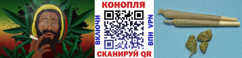 Купить закладки  Щёлково  Бошки Шишки SATIVA & INDICA 